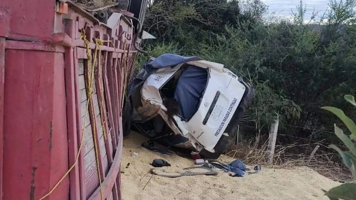 camion y colectivo